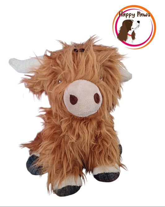 Highland Cow
