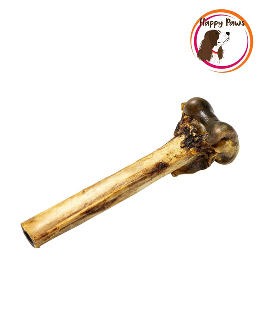 Ostrich Bone