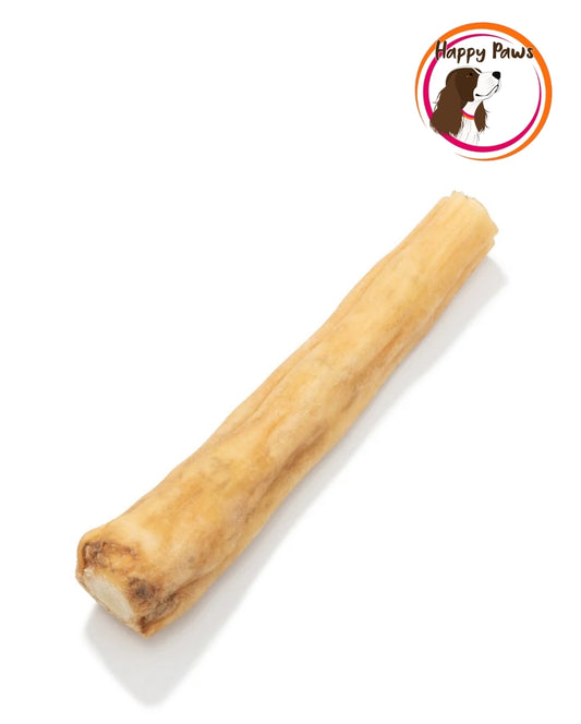 Beef Tail