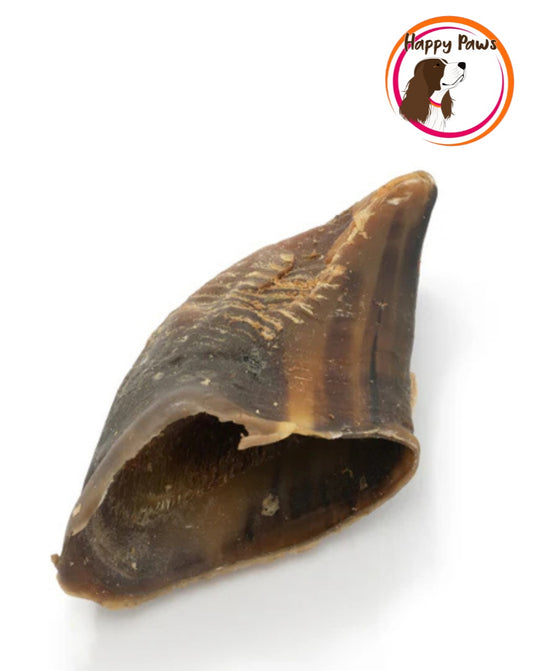 Cow Hoof