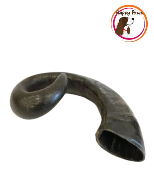 Large Buffalo Horn