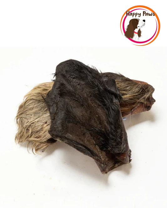 Hairy Cow Ears