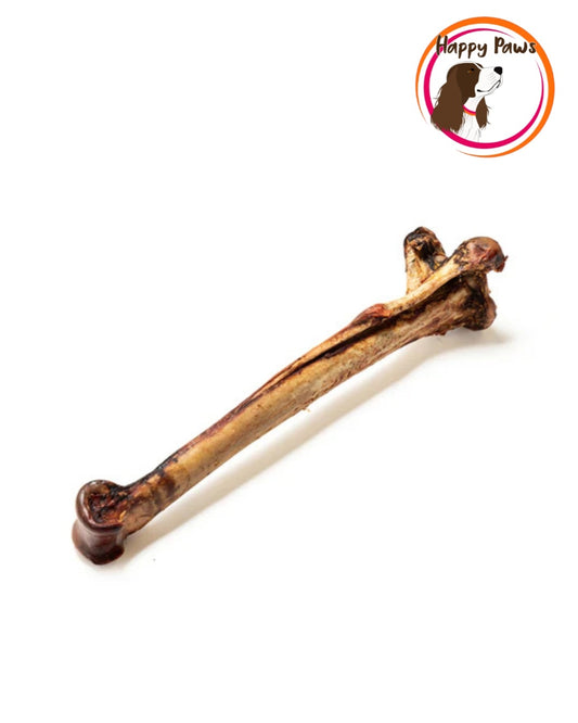 Long Ostrich Bone